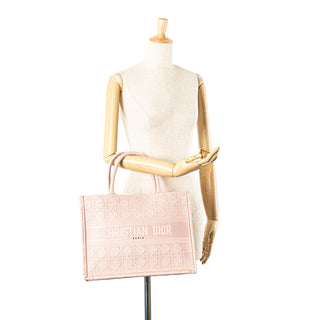 Dior Medium Canvas Book Tote