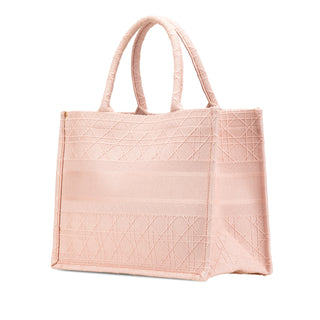 Dior Medium Canvas Book Tote