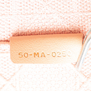 Dior Medium Canvas Book Tote
