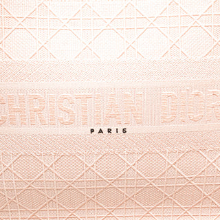 Dior Medium Canvas Book Tote