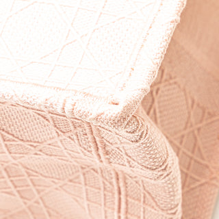 Dior Medium Canvas Book Tote