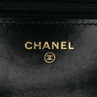 Chanel Quilted Lambskin 19 Wallet on Chain