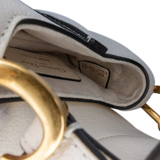 Dior Micro Goatskin Saddle