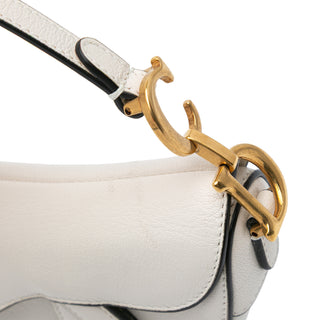 Dior Micro Goatskin Saddle