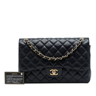 Chanel Jumbo Classic Caviar Double Flap