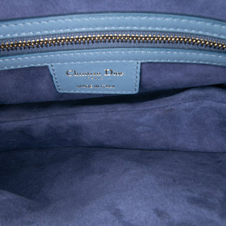 Dior Gradient Calfskin Saddle Bag