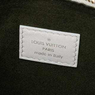 Louis Vuitton Monogram Embossed Puffy Lambskin Coussin PM