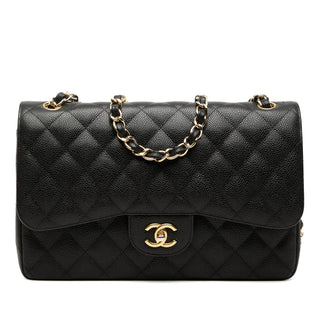 Chanel Jumbo Classic Caviar Double Flap