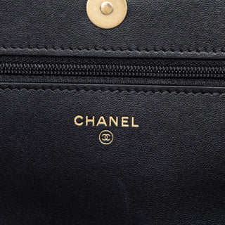 Chanel Quilted Lambskin 19 Wallet on Chain