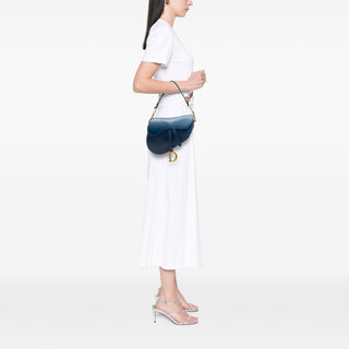 Dior Gradient Calfskin Saddle Bag