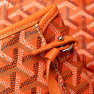 Goyard Goyardine Saint Louis PM