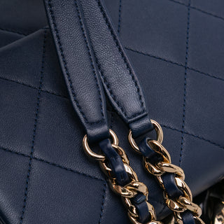 Chanel Small Lambskin Elegant Chain Single Flap
