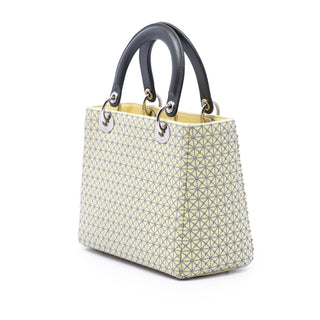 Dior Medium Embroidered Lambskin Microcannage Lady Dior