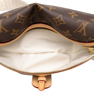 Louis Vuitton Monogram High Rise Bumbag