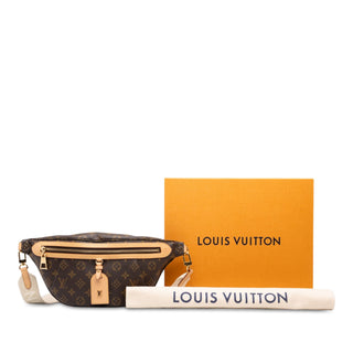 Louis Vuitton Monogram High Rise Bumbag