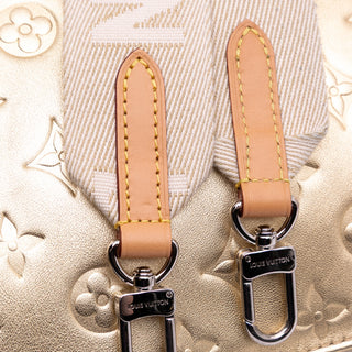 Louis Vuitton Monogram Coussin PM