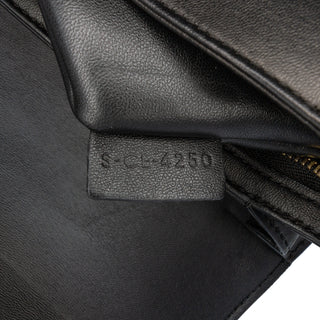 Celine Canvas Triomphe Crossbody