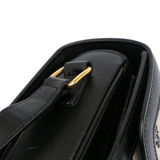 Celine Canvas Triomphe Crossbody