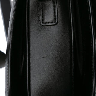 Celine Canvas Triomphe Crossbody