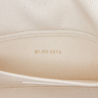 Dior Small Denim Toile de Jouy Soleil Lady D Joy