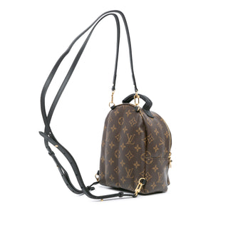 Louis Vuitton Monogram Mini Palm Springs