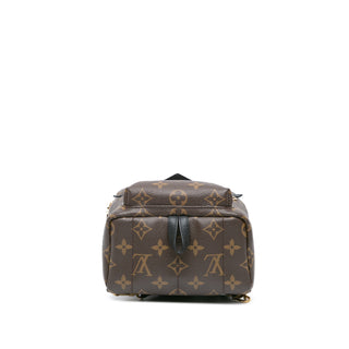 Louis Vuitton Monogram Mini Palm Springs