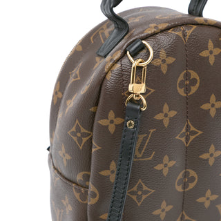 Louis Vuitton Monogram Mini Palm Springs