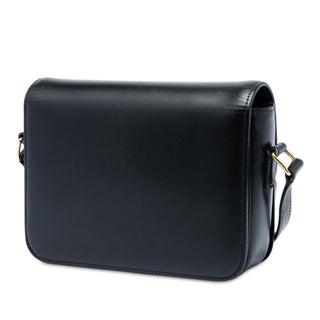Celine Teen Shiny Calfskin Triomphe Crossbody
