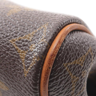 Louis Vuitton Monogram Eva