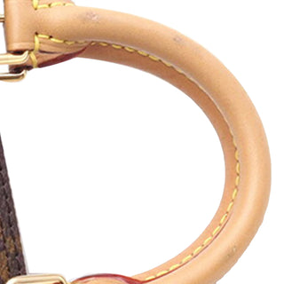 Louis Vuitton Monogram Nano Speedy Bandouliere
