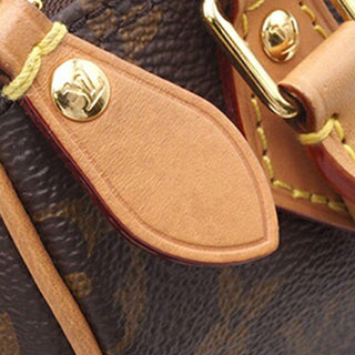 Louis Vuitton Monogram Nano Speedy Bandouliere