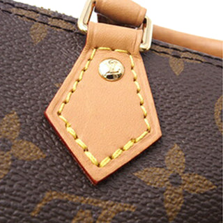 Louis Vuitton Monogram Nano Speedy Bandouliere