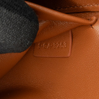 Celine Triomphe Claude Shoulder Bag