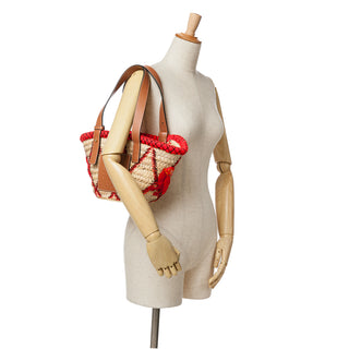 Loewe Small Raffia Animal Embroidered Basket Tote