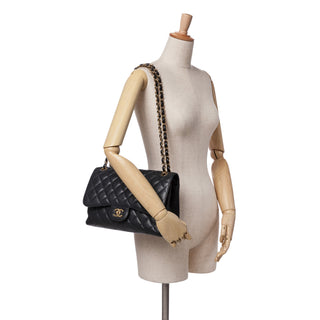 Chanel Jumbo Classic Caviar Double Flap