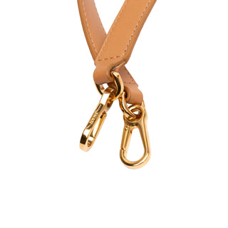 Loewe Small Leather Paseo Satchel