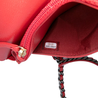 Chanel Quilted Goatskin 19 Wallet on Chain
