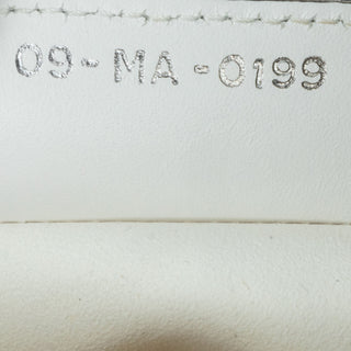 Dior Medium Leather Saddle Bag