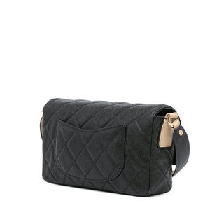 Chanel CC Bicolor Quilted Caviar Single Flap