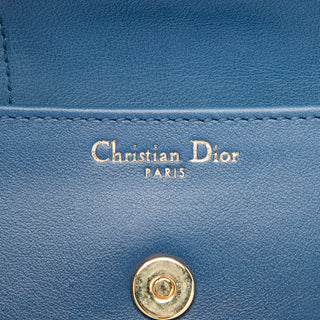 Dior Medium Calfskin DiorDouble Chain Bag