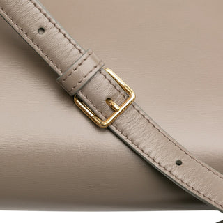 Celine Teen Shiny Calfskin Triomphe Crossbody