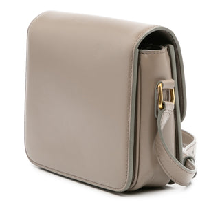 Celine Teen Shiny Calfskin Triomphe Crossbody