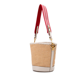Prada City Calf Trimmed Paglia Bucket Bag