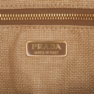 Prada City Calf Trimmed Paglia Bucket Bag