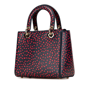 Dior Medium Calfskin I Love Paris Lady Dior