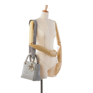 Dior Medium Embroidered Canvas Cannage Lady D Lite