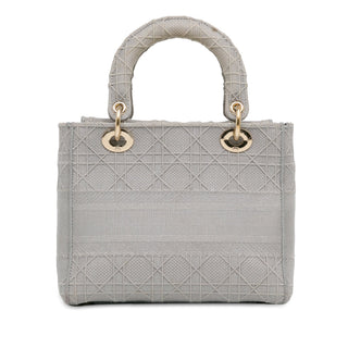 Dior Medium Embroidered Canvas Cannage Lady D Lite