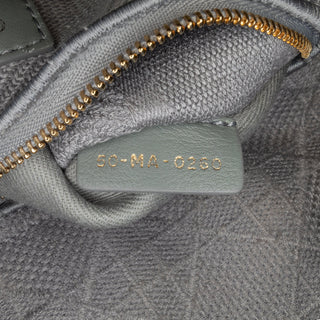 Dior Medium Embroidered Canvas Cannage Lady D Lite
