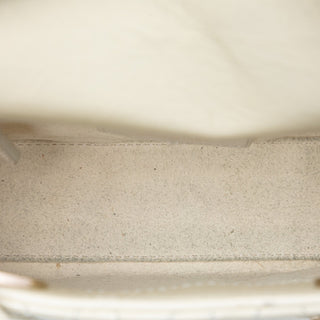 Dior
Mini Crinkled Calfskin Cannage Lady Dior