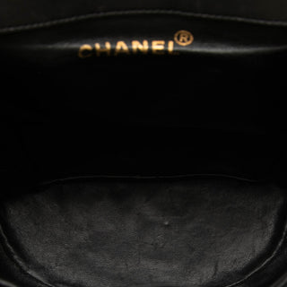 Chanel Medium Quilted Lambskin Duma Backpack